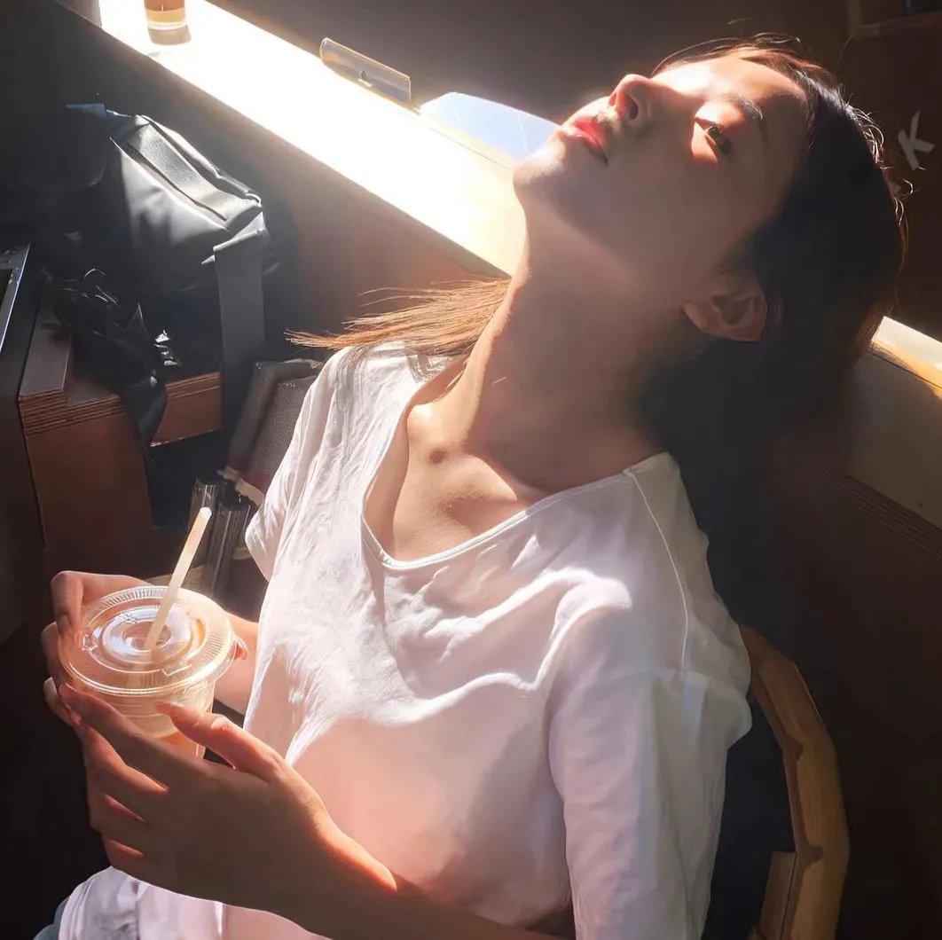 狗的生涯